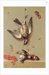 Still Life of Dead Birds and Cherries, 1712 by Jean-Baptiste Oudry