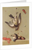 Still Life of Dead Birds and Cherries, 1712 by Jean-Baptiste Oudry