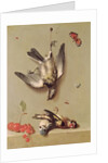 Still Life of Dead Birds and Cherries, 1712 by Jean-Baptiste Oudry