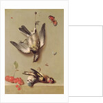 Still Life of Dead Birds and Cherries, 1712 by Jean-Baptiste Oudry