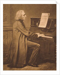 Franz Liszt at the Piano by Anonymous