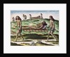 Hermaphrodites Transporting the Injured by Th. after Le Moyne J.(de Morgues) (1533-88) Bry