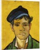 Young Man with a Hat, 1888 by Vincent van Gogh