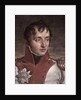 Portrait of Louis Bonaparte King of Holland, c.1805-34 by Jean Baptiste Joseph Wicar