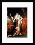 Portrait of Jerome Bonaparte King of Westphalia by Francois Josephe Kinson
