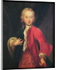 Portrait of Comte Maurice de Saxe Aged Fifteen, c.1711 by Adriaan van der Werff