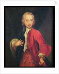 Portrait of Comte Maurice de Saxe Aged Fifteen, c.1711 by Adriaan van der Werff
