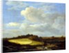 The Wheatfield by Jacob Isaaksz. or Isaacksz. van Ruisdael