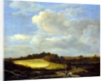 The Wheatfield by Jacob Isaaksz. or Isaacksz. van Ruisdael