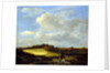 The Wheatfield by Jacob Isaaksz. or Isaacksz. van Ruisdael
