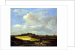 The Wheatfield by Jacob Isaaksz. or Isaacksz. van Ruisdael