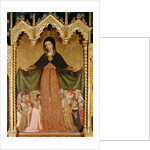 Virgin of Mercy by Jean Mirailhet