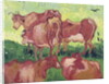 Cows, 1890 by Vincent van Gogh
