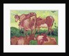 Cows, 1890 by Vincent van Gogh