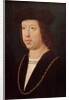 Portrait of Ferdinand II King of Spain by Master of the Legend of St. Madeleine