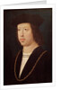 Portrait of Ferdinand II King of Spain by Master of the Legend of St. Madeleine