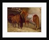 Horses in the Stables by Theodore Gericault
