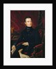 Alphonse de Lamartine by Madame de Lamartine