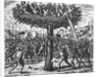 Indians in a Tree Hurling Projectiles at the Spanish by Theodor de Bry