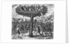 Indians in a Tree Hurling Projectiles at the Spanish by Theodor de Bry