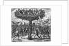 Indians in a Tree Hurling Projectiles at the Spanish by Theodor de Bry