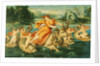 The Rape of Europa by French School