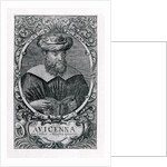 Portrait of Avicenna Reading by French School