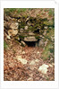 Covered entrance to a tumulus by Prehistoric Prehistoric