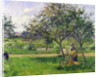 The Wheelbarrow, Orchard, c.1881 by Camille Pissarro