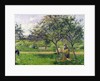 The Wheelbarrow, Orchard, c.1881 by Camille Pissarro