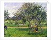 The Wheelbarrow, Orchard, c.1881 by Camille Pissarro