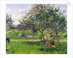 The Wheelbarrow, Orchard, c.1881 by Camille Pissarro