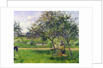 The Wheelbarrow, Orchard, c.1881 by Camille Pissarro