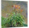Hemerocallis, 1914-17 by Claude Monet