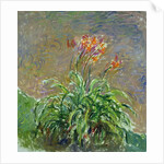 Hemerocallis, 1914-17 by Claude Monet