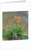 Hemerocallis, 1914-17 by Claude Monet