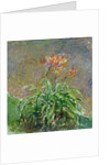 Hemerocallis, 1914-17 by Claude Monet