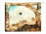 Vianden through a Spider's Web by Victor Hugo