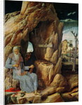 St. Jerome by Andrea Mantegna