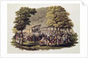 Camp Meeting of the Methodists in North America by Jacques (after) Milbert