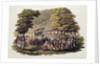 Camp Meeting of the Methodists in North America by Jacques (after) Milbert
