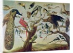 The Bird's Concert by Frans (after) Snyders