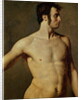 Male Torso by Jean Auguste Dominique Ingres