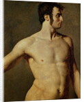 Male Torso by Jean Auguste Dominique Ingres