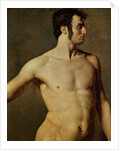Male Torso by Jean Auguste Dominique Ingres