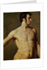 Male Torso by Jean Auguste Dominique Ingres