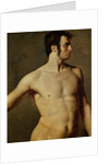 Male Torso by Jean Auguste Dominique Ingres