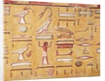 Hieroglyphics by Egyptian 19th Dynasty