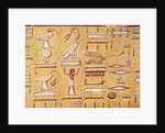 Hieroglyphics by Egyptian 19th Dynasty