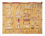 Hieroglyphics by Egyptian 19th Dynasty